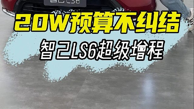 纠结选电车还是选油车？两个都要行不行？