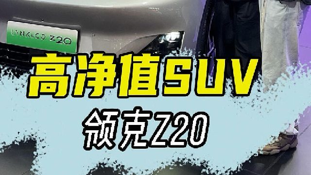 你们觉得这台领克Z20多少钱？