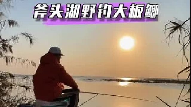 野钓大板鲫