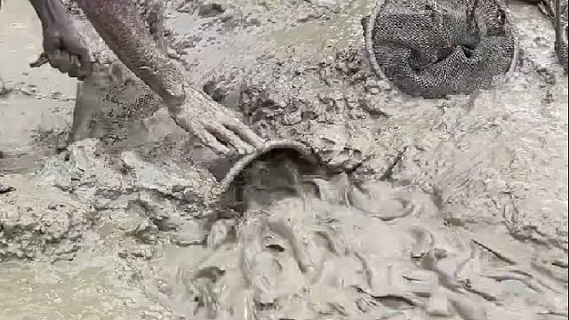 三哥抓鱼抓到手发软