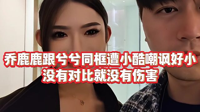 【小小小酷哥】乔鹿鹿跟兮兮同框遭小酷嘲讽好小，没有对比就没有伤害