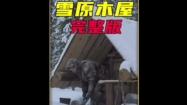 俄罗斯牛人在熊窝建造的荒野庇护所