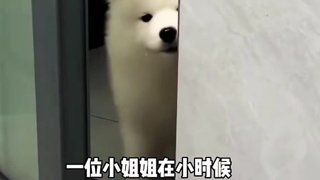 陪伴了小姐姐12年的时间