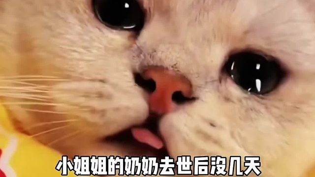 小姐姐的店里突然飞进来一只蝴蝶