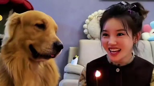 一人一狗生活的非常幸福