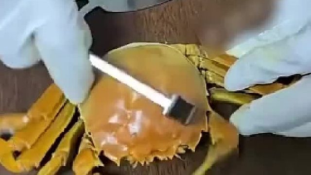 网友晒出吃螃蟹神器,螃蟹轻松被“肢解”,网友：有这个能吃一锅