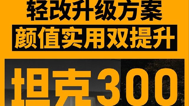 坦克300轻改也要改得好，照这个方案去升级，性能、颜值、姿态都有了！