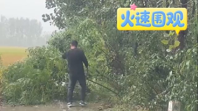 男子下车想把拦路的树枝拖走，不料竟意外摔进沟里