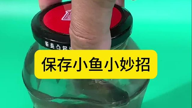 保存小鱼小妙招