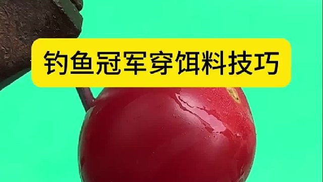 钓鱼冠军穿饵料技巧