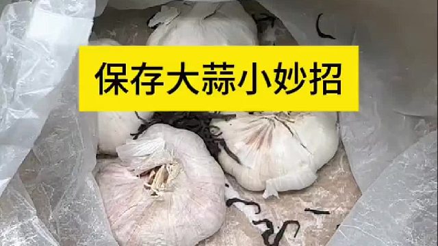 保存大蒜小妙招