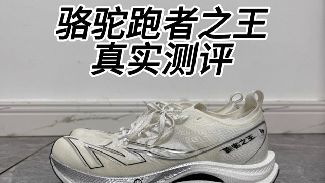 锐评骆驼的跑者之王