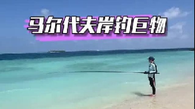 马尔代夫岸钓巨物。