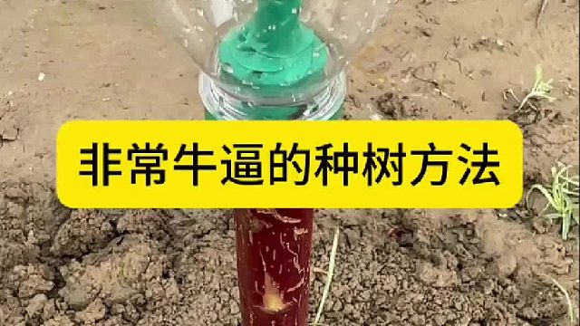 非常牛逼的种树方法