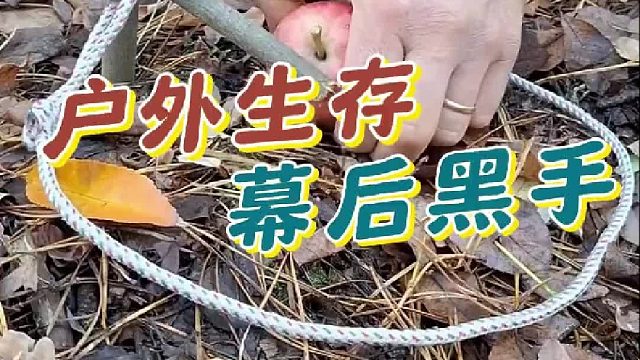 户外生存，如何防止食物丢失