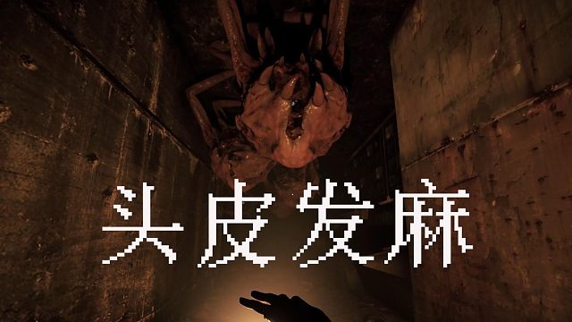 终于体验了一把大明星的感觉！