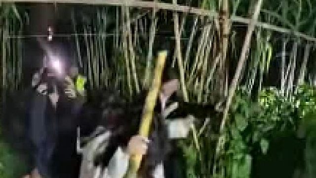 有些人不懂为什么，怀念啊