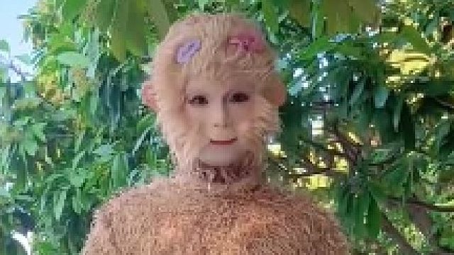 八戒：师傅！大师兄被妖怪勾走啦！