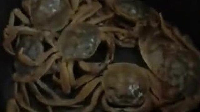 螃蟹也会受惊…