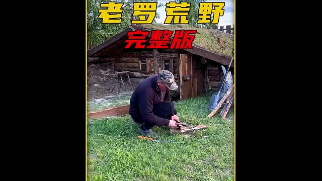 老人在野外打造出最美一室一厅地下庇护所