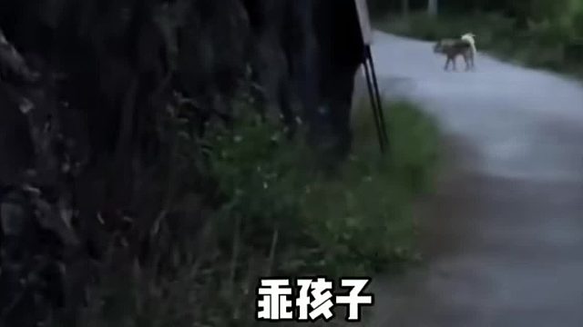 原谅妈妈不能陪着你长大了