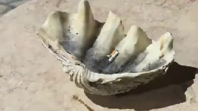 看见老外用砗磲当烟灰缸，男子直呼太浪费了