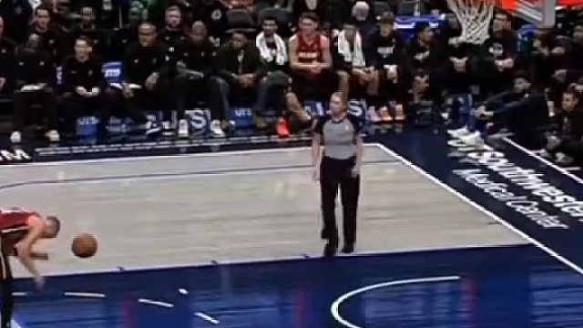 女裁判发球不慎击到希罗鸟窝