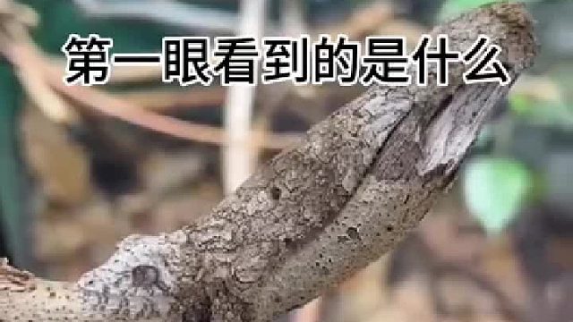第一眼确实是没有也没看出来 