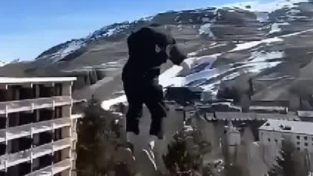 生命不应该在沉默中腐朽，应该在激情中燃烧！