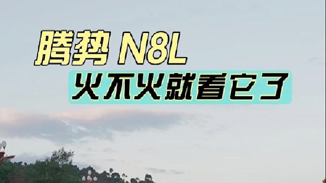 30万级技术最顶的车，腾势N8L，卖一台亏多少？