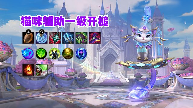 猫咪辅助一级开槌