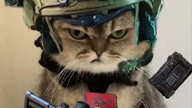 人机：这把没你都得散