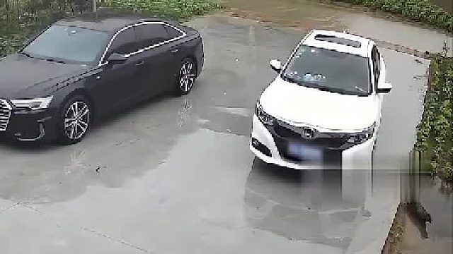 说不定她想刹车，结果踩成油门了，毕竟是女司机嘛