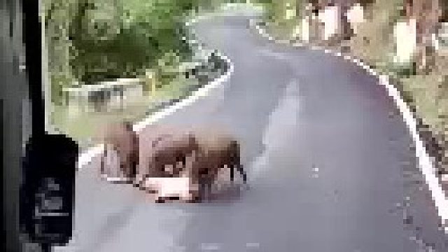 司机还是很懂事的，知道鸣笛示哀。。