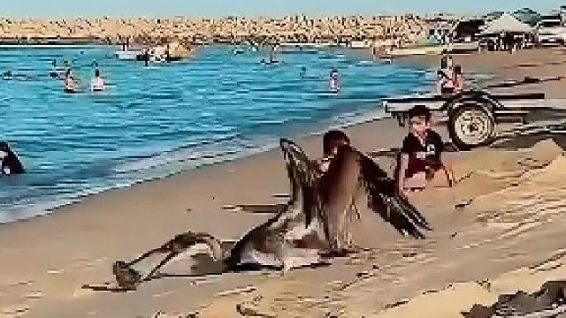 医生：你的胃里怎么会有脚气