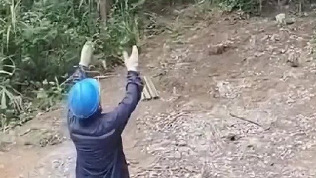 有卧龙必有凤雏啊。