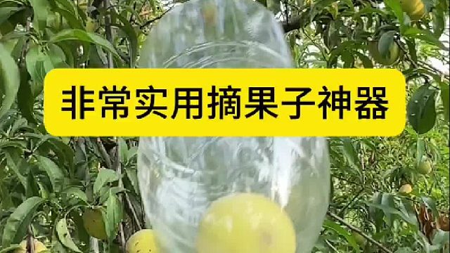 非常实用摘果子神器