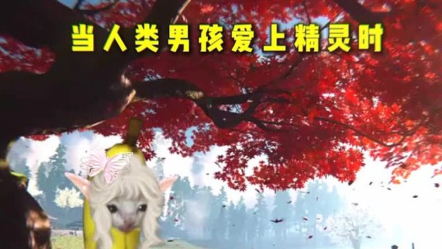 修仙长寿这一块