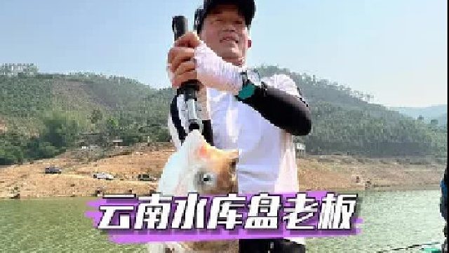云南文山水库盘老板，轻松钓获200多斤。