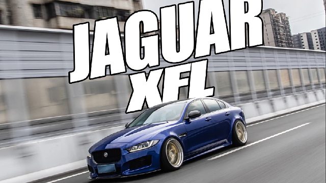 低趴豹，太帅啦！