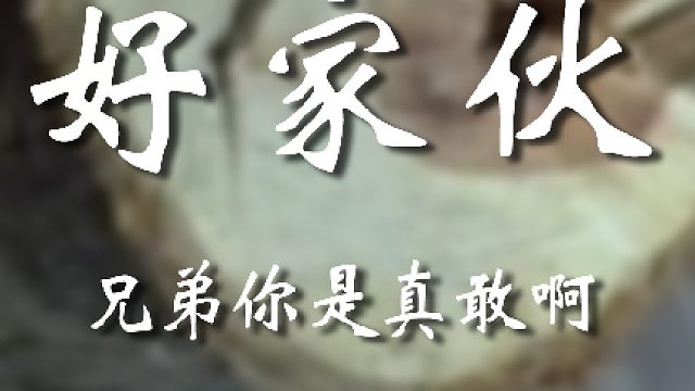 你小子真是不怕鼠啊