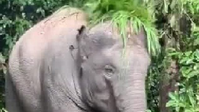 要想生活过得去，头上必须有点绿