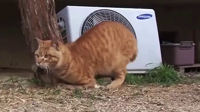 被人活生生的掰断了双腿