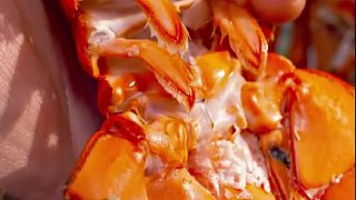 你們兩個誰先來呀