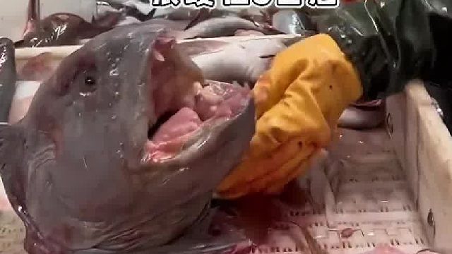 我看看谁有大胆的想法