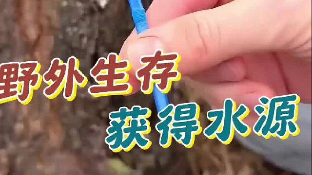 野外生存，不会获得水源怎么能行
