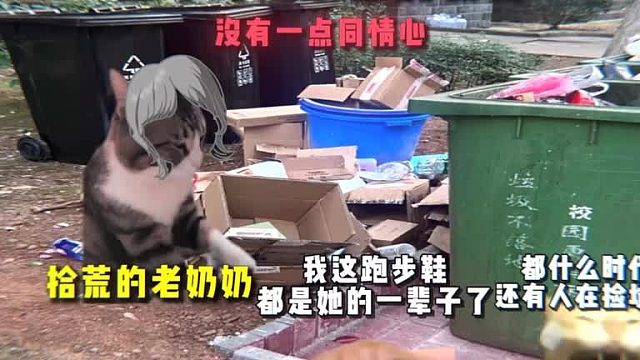 我们是永远不会垮掉的一代