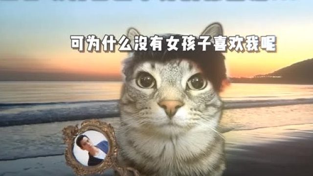 男生为什么容易单身