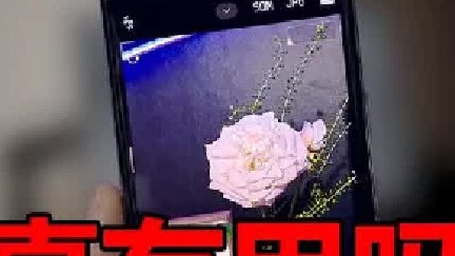 两亿像素真的比5000W像素的手机，拍照更清晰吗？