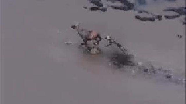 非洲野狗持续追捕牛羚数公里完成捕猎！